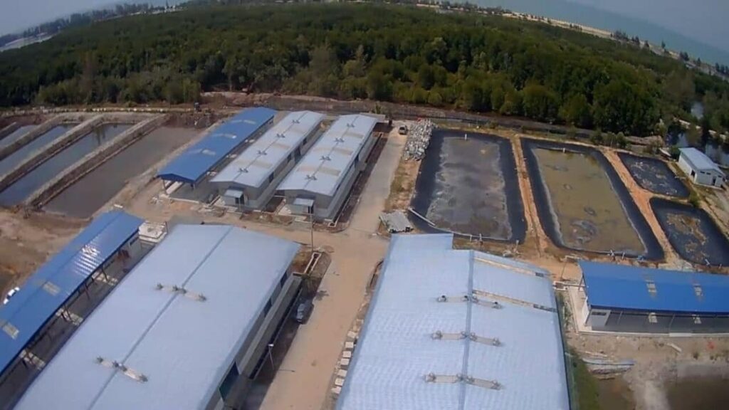 Aerial view of the project site