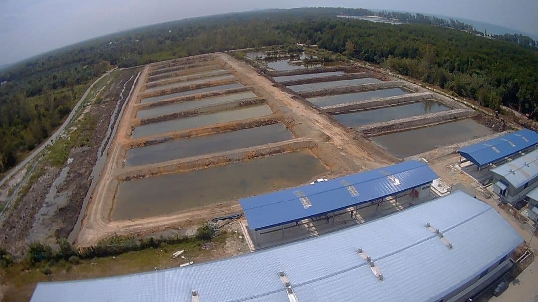 Hatchery Limau Nipis, Setiu, Terengganu